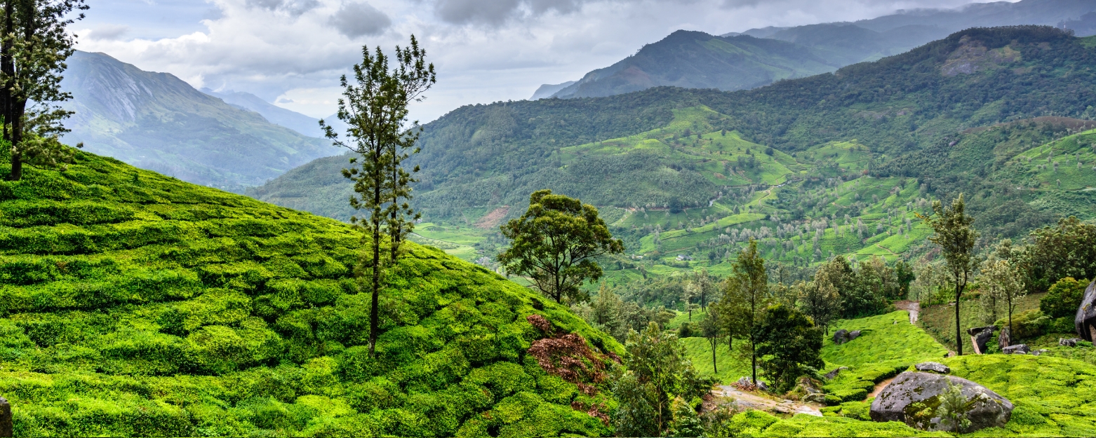 6 Days 5 Nights Kerala package