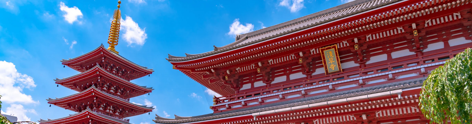 8 Days, 6 Nights Tokyo & Kyoto,Japan