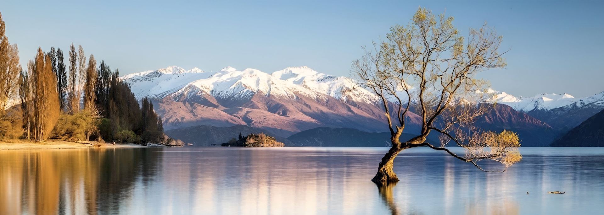 8 Days & 7 Nights New Zealand